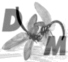 Dragonfly Marketing: Internet Marketing and Promotions for Recreation, Entertainment and Leisure