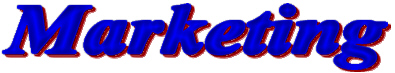 Dragonfly Marketing: Internet Marketing and Promotions for Recreation, Entertainment and Leisure